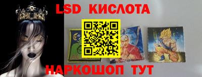прущие грибы Краснознаменск