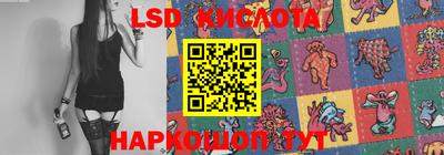 прущие грибы Краснознаменск