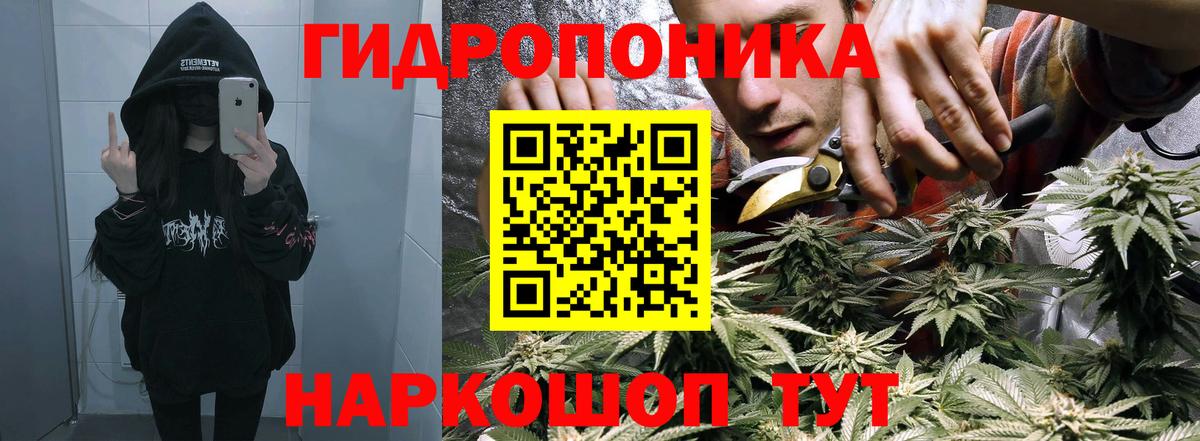 Бошки марихуана ГИДРОПОН  МАРИХУАНА Bruce Banner  Вход с VPN  Биробиджан  МАРИХУАНА OG Kush  Каннабис White Widow 